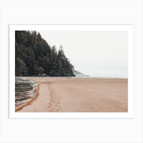 Forest Along Ocean Art Print