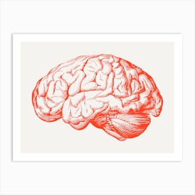 Brain Illustration red Art Print