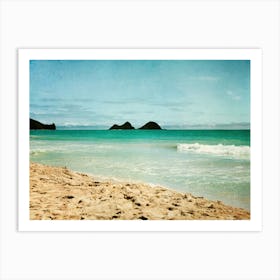 Hawaiian Beach 3 Art Print