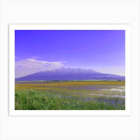 Purple Mt Blanca over Lake of Yellow Flowers Art Print