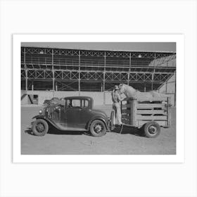 Rodeo Performer Arriving At The San Angelo Fat Stock Show Barn With His Horse In Trailer, San Angelo, Texas By Art Print