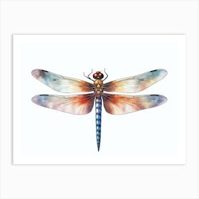 Dragonfly Anatomy 3 Art Print