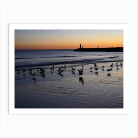 Birds On The Beach At Sunset Art Print