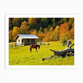 Horse In A Field Art Print