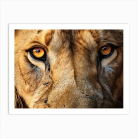 African Lion Eyes Realism Painting4 Art Print