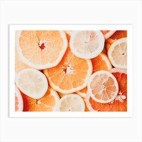 Citrus Slices Art Print