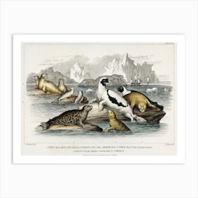 Collection Of Various Seals, Oliver Goldsmith Art Print