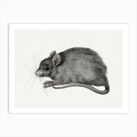 Mouse, Jean Bernard Art Print