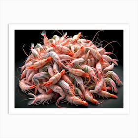 Pile Of Pink Shrimps On A Black Background Art Print