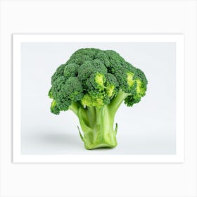 Broccoli On White Background 4 Art Print