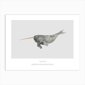 Narwhal Affiche