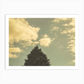 Blue sky tree Art Print