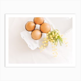 Eggs In A Box Art Print