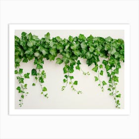 Curly Ivy Leaves Isolated On Light Background 1 Art Print