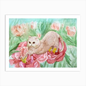 Cats Have Fun The Beige British Shorthair Cat On Pink Peony Flowers Art Print