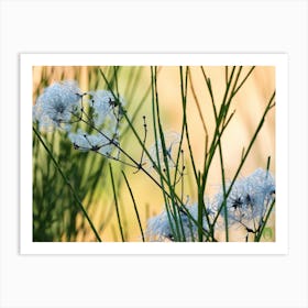 White Flowers 20181223 30pub Art Print