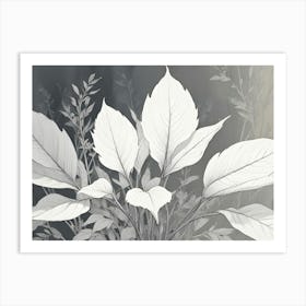 A Black And White Illustration Of A Plant With Large Leaves 1 Art Print