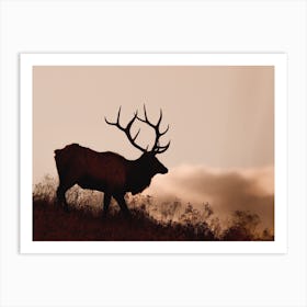 Elk Silhouette Art Print