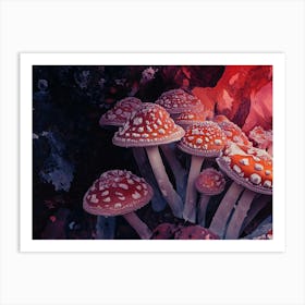 Mushrooms In The Forest 2 Art Print