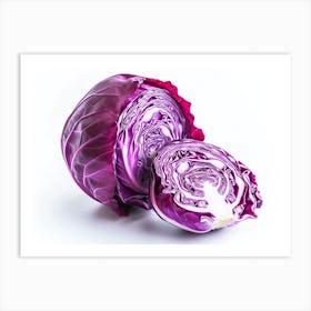 Red Cabbage (6) Art Print