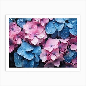 Hydrangeas 30 Art Print