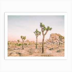 Joshua Tree Desert Art Print