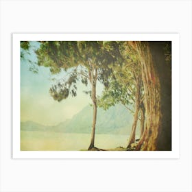 Hawaiian Beach 4 Art Print