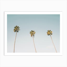 Three Palm Trees Art Print