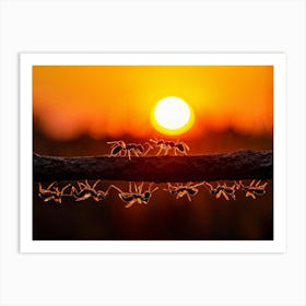 Ant Colony Cooperating Harmoniously Silhouetted Against A Radiant Sunset Amber And Crimson Hues Me 2 1 Art Print