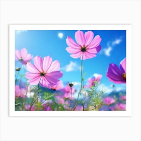 Cosmos Flowers 2 Art Print