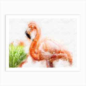 Flamingo Art Print