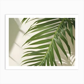 Close Up Of A Palm Leaf With Its Long, Green Fronds Against A White Background, With Shadows From A Window Illuminating The Scene Art Print