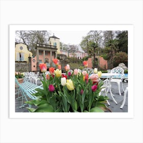 Tulips In The Garden Portmeirion beautiful  Art Print