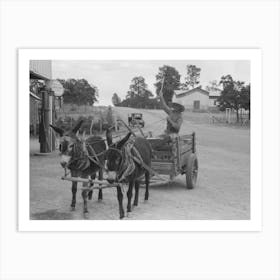 Mr, Leatherman Drives His Burro Drawn Cart Up To The Filling Station To Get Air In The Rubber Tires Art Print