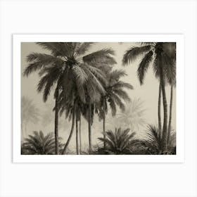 Palm Trees In The Fog 1 Art Print