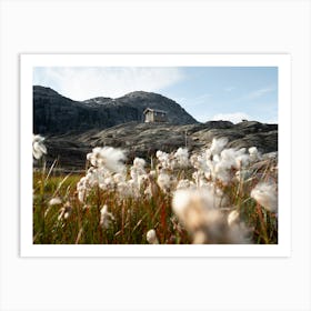 Cotton Tails And Norwegian Huts Art Print