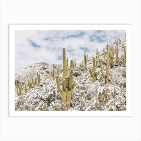 Light Snow In Desert Art Print