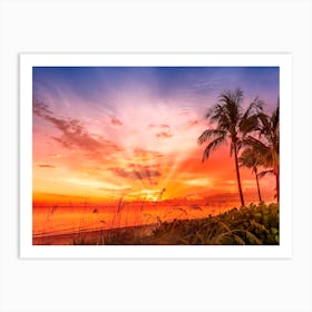 Bonita Beach Idyllic Sunset Art Print