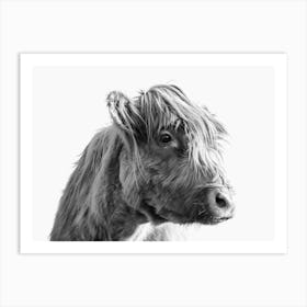 Portrait of A Highland Cattle Art Print
