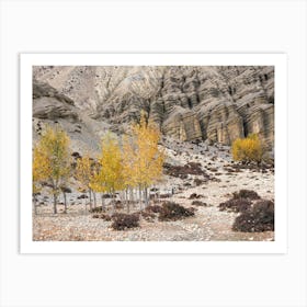 Autumn Trees In The Himalayas Art Print