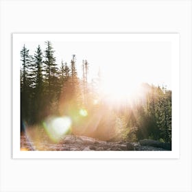 Sun Flare Art Print