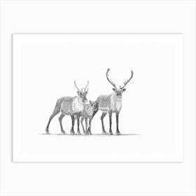 The Caribous Family Art Print