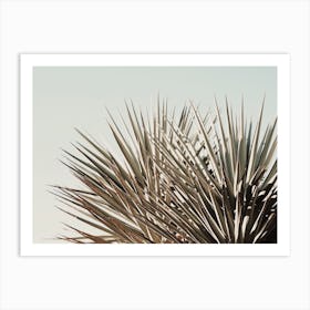 Tropical Palms Art Print