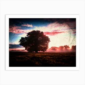 Sunset With A Tree Art Print