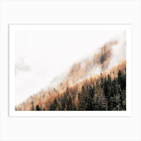 Foggy Forest Scenery Art Print