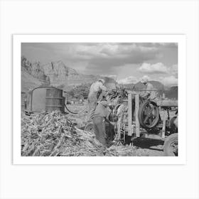 Extracting Juice From Cane On Farm In Ivins, Washington County, Utah, See General Caption By Russell Lee Art Print