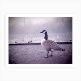 Foggy Morning  Geese by Lake Art Print