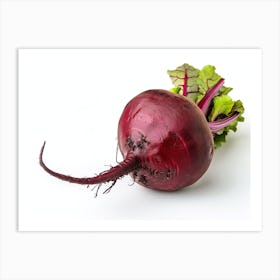 Beetroot isolated on white background. 3 Art Print
