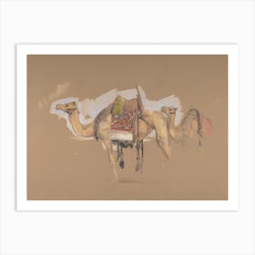 Two Camels Art Print