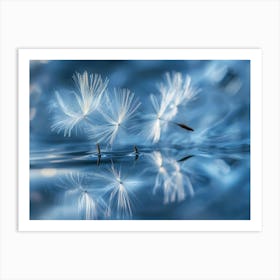 Dandelion Seeds Art Print